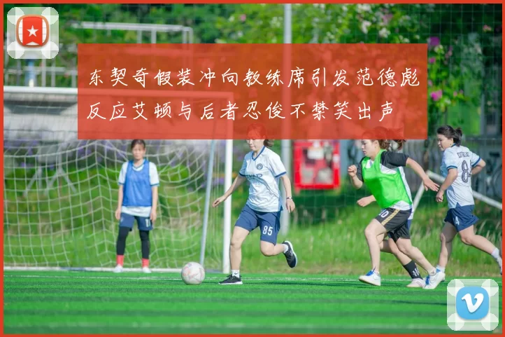 东契奇假装冲向教练席引发范德彪反应艾顿与后者忍俊不禁笑出声