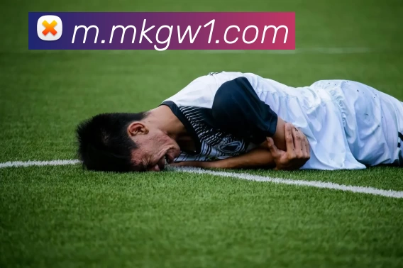 MK体育官网服务体系